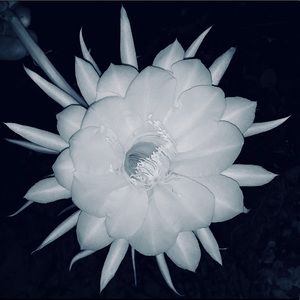 Meet your Posher, Clayton